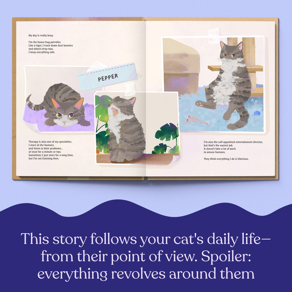 Inside page from The Life of Your Cat, a personalized illustrated adventure book